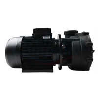 LP300T LX Whirlpool Massage Pump for Inverter/Frequency Converter, 1-speed