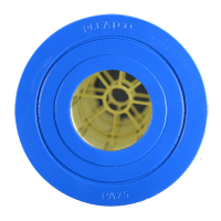 PA75 Whirlpool filter Pleatco