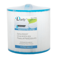 SC798 - Whirlpool filter Darlly (replacement for Pleatco PWW25SV-P3)