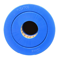 PWK30 - Whirlpool Filter Pleatco für Hot Spring (Darlly SC712)