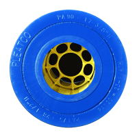 PA90 - Filtre Whirlpool Pleatco pour Spaform (Darlly SC761)