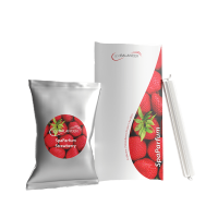 SpaBalancer SpaParfum fraise