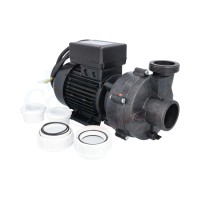 Balboa Whirlpool Pumpe 1.5 PS 230V 2-Speed 50Hz