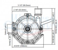 Laing E10 Whirlpool Zirkulationspumpe zu Dimension One Spas und Jacuzzi, 1-speed