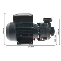 MEC80 Pumpe mit Wet-End 3.0 HP, 2-speed, 2&#39;&#39; Gewinde
